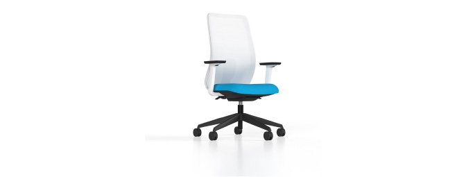 the deluxe task echo chair