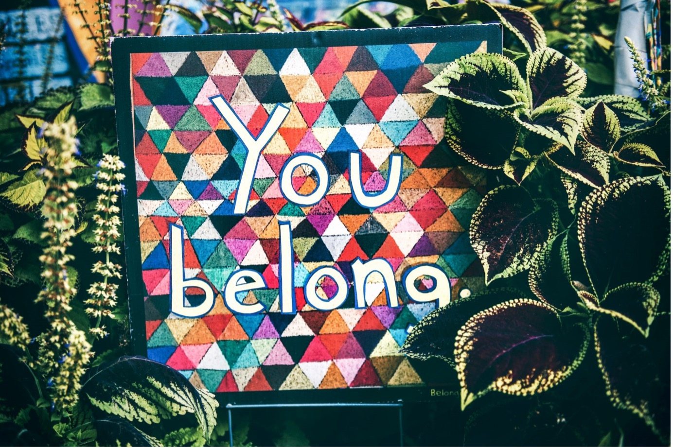 Mural with the words You Belong